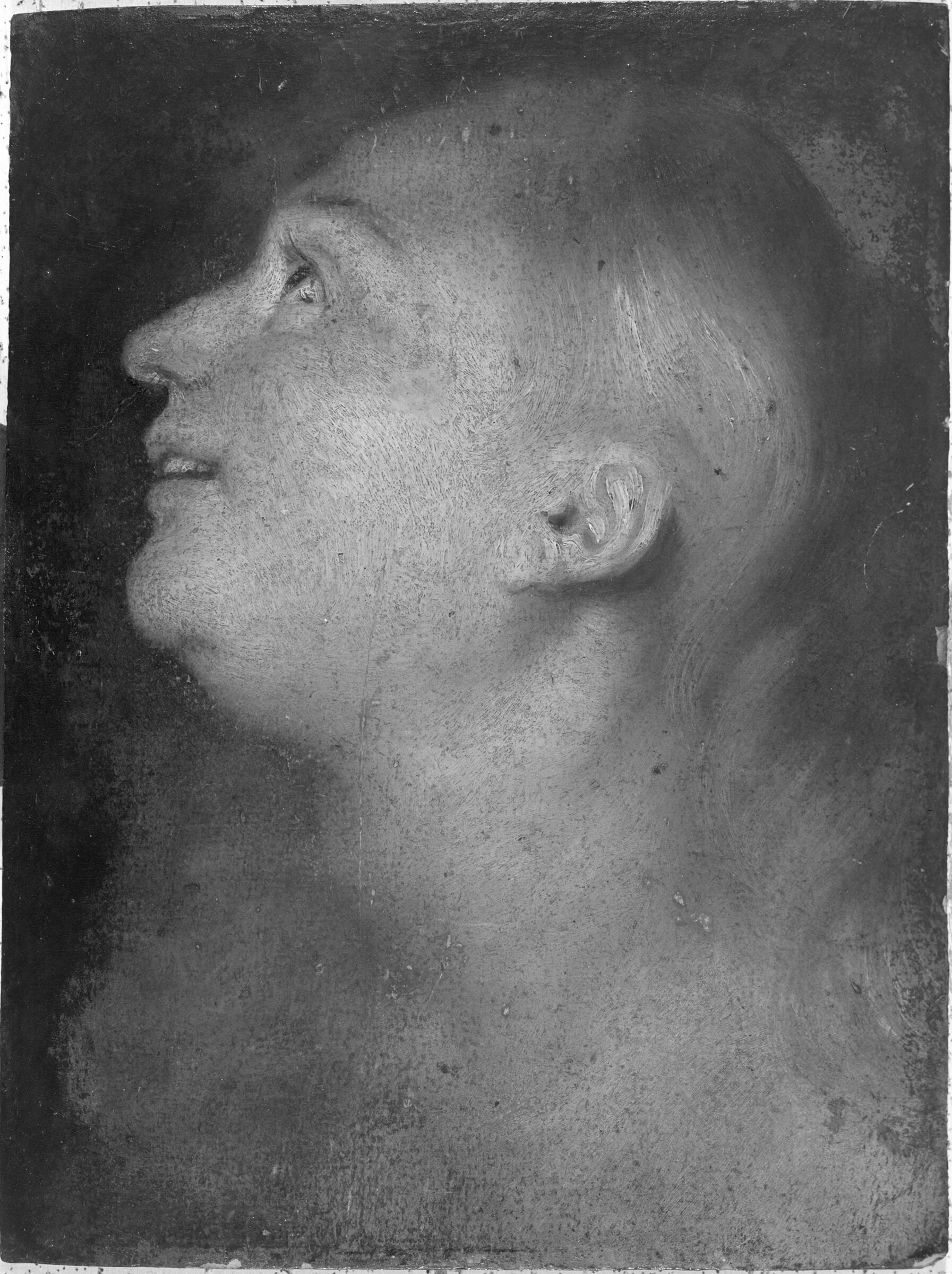 Head Of A Woman