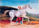 A watercolor of a prancing white horse with a man running on its far side under a blue sky.