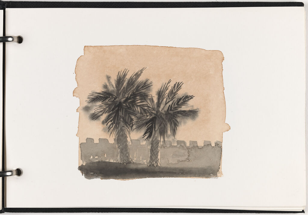 Landscape With Palm Trees