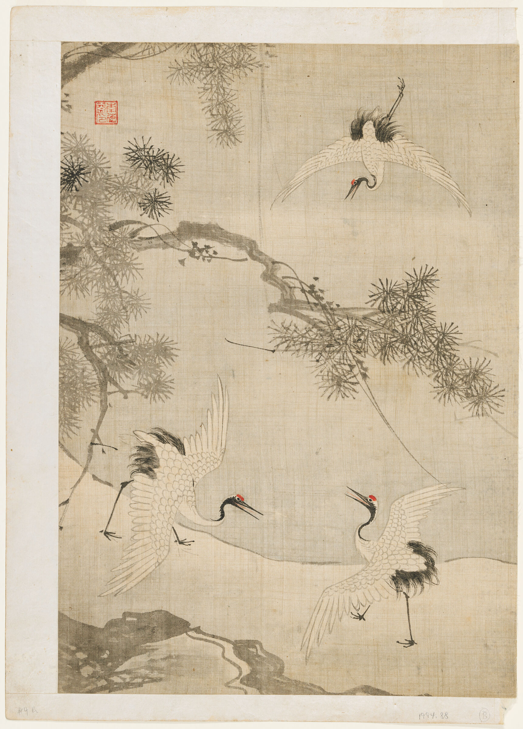 Three Manchurian Cranes Amidst Pines