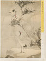 This image shows two cranes, one flying and one standing, amongst tall bamboo plants. There is a yellow border outside the image with black writing on it.