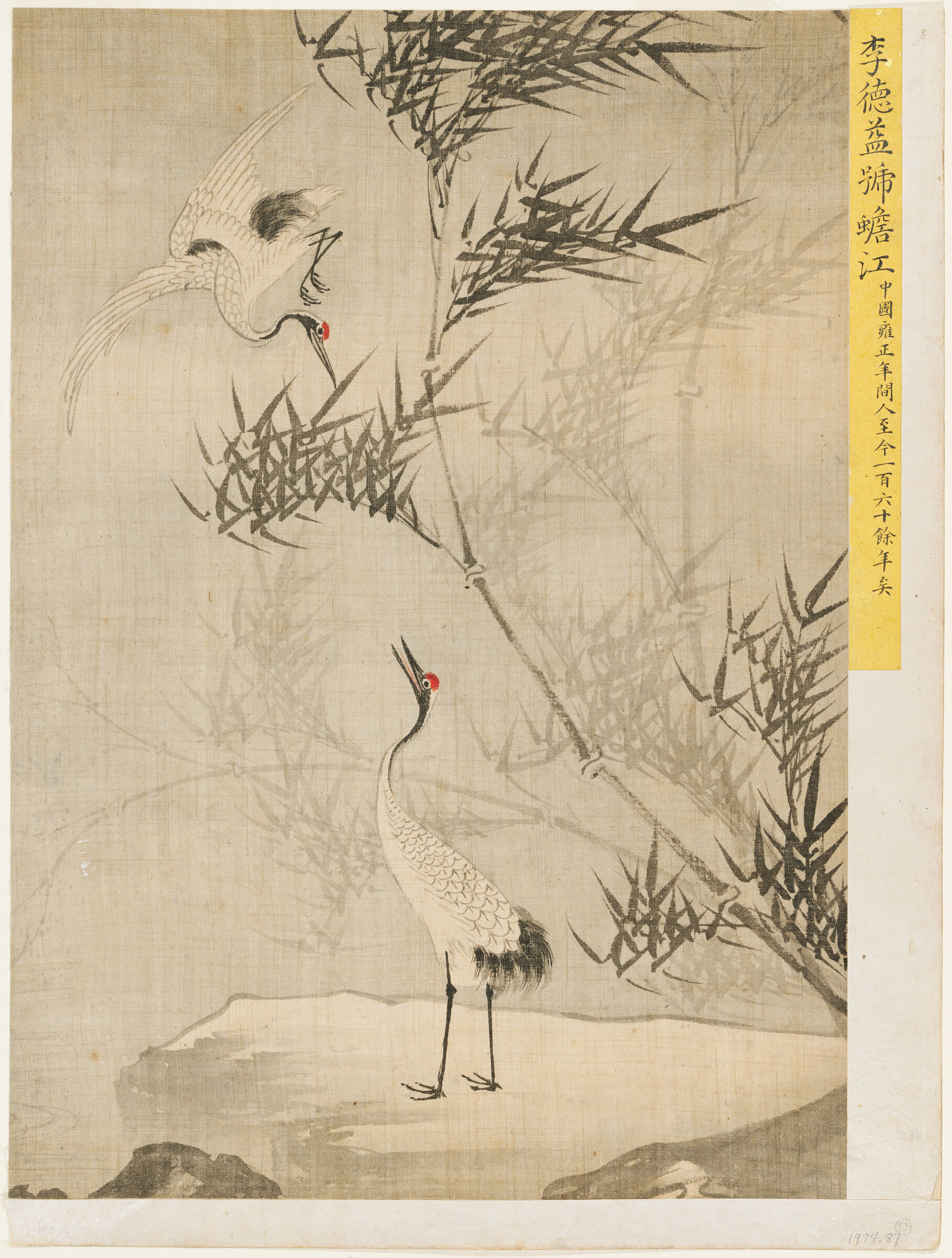 Two Manchurian Cranes Amidst A Lakeside Stand Of Mist-Enshrouded Bamboo