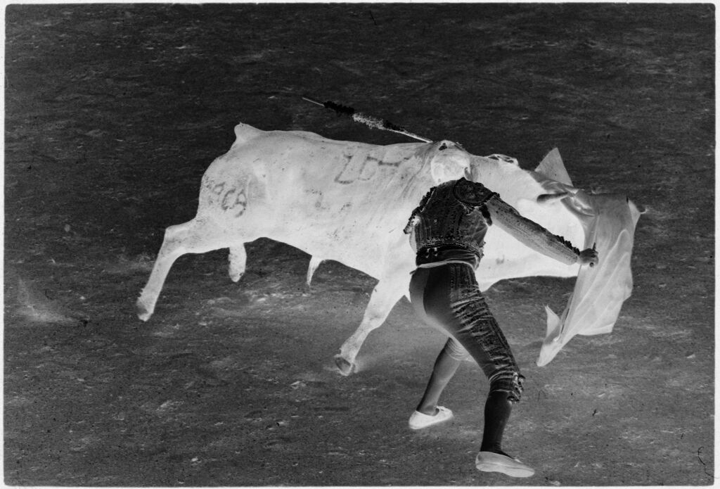 Untitled (Matador Drawing Cape Over Bull)