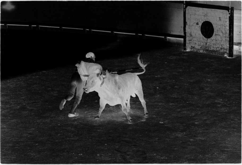 Untitled (Matador And Bull In Middle Of Bullring)