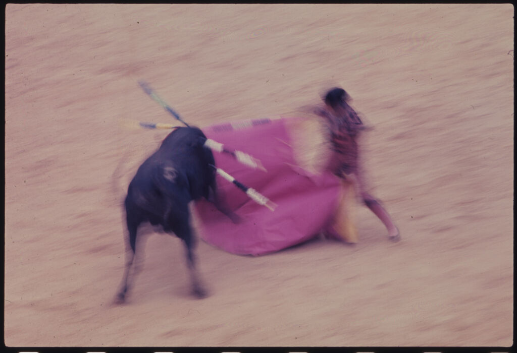 Untitled (Matador Waving Cape In Front Of Bull)