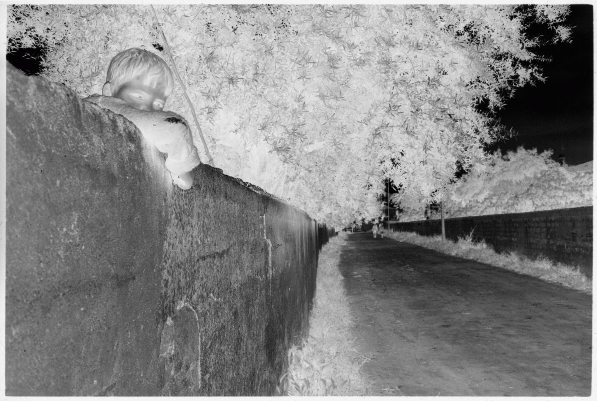 Untitled (Young Boy Peering Over Wall On Side Of Road)