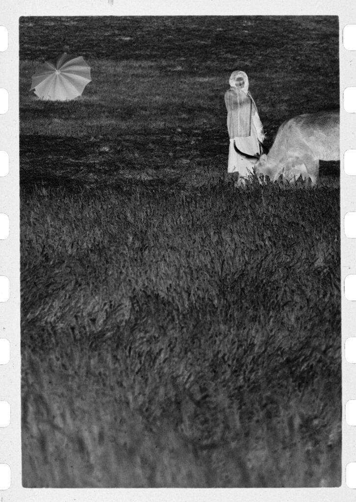 Untitled (Woman With Two Cows In Grassy Field And Open Umbrella In Background, Nazaré, Portugal)