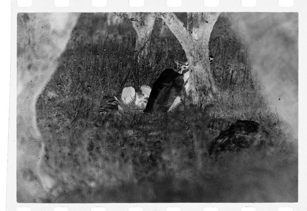 Untitled (View Through Trees Of Man Lounging In Field, Nazaré, Portugal)