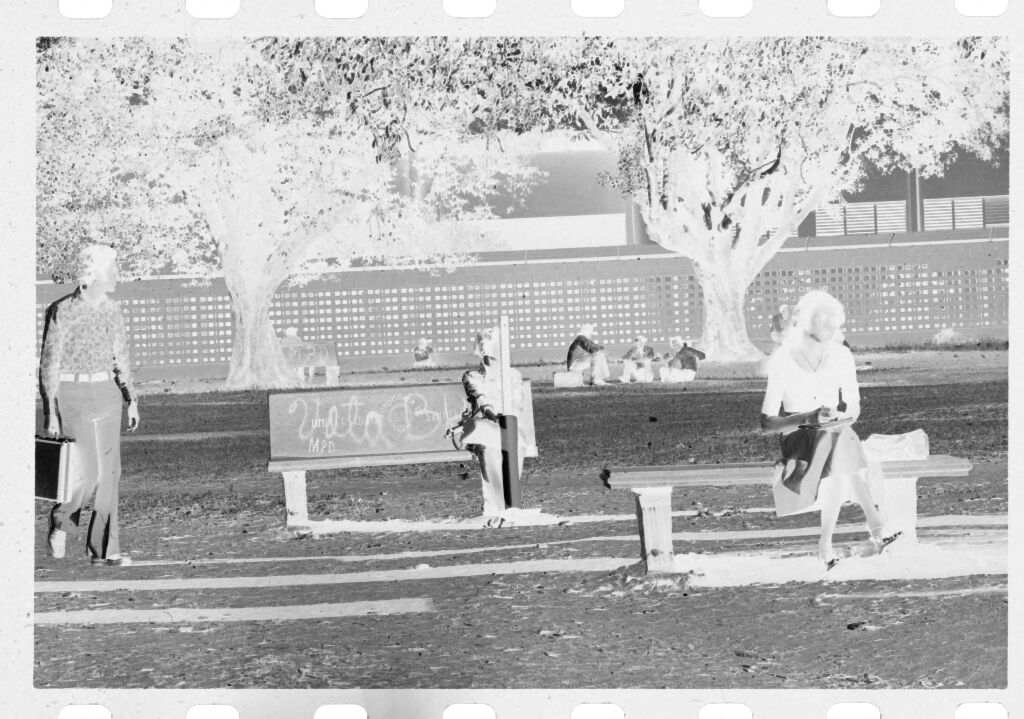 Untitled (Women Sitting On Benches In Park)