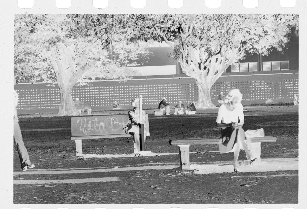 Untitled (Women Sitting On Benches In Park)