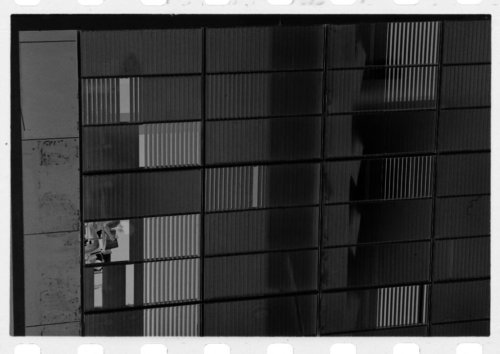 Untitled (Windows Of Modern High-Rise Building)