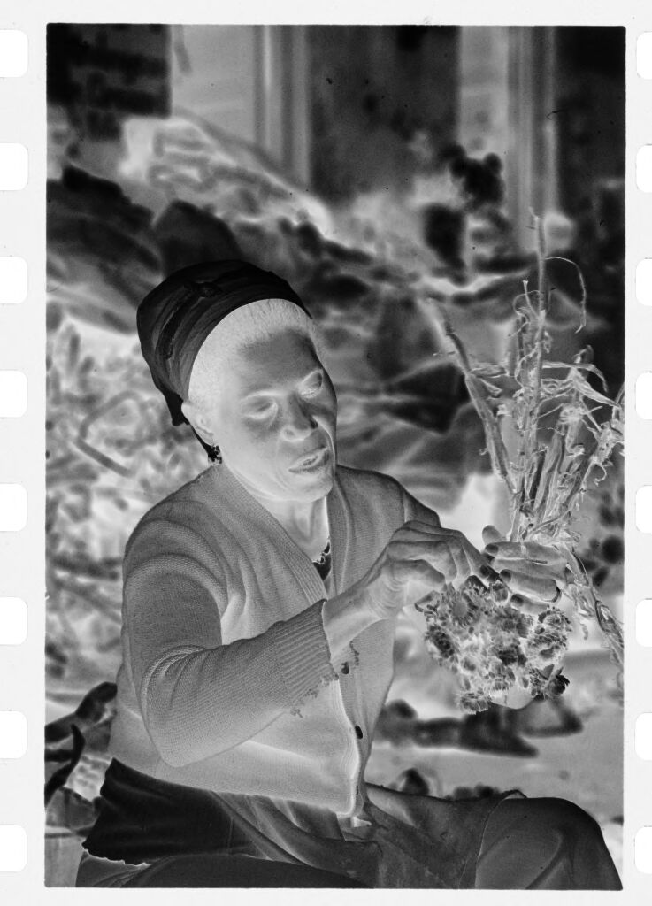 Untitled (Woman Wearing Headscarf And Sweater Bundling Flowers To Dry)