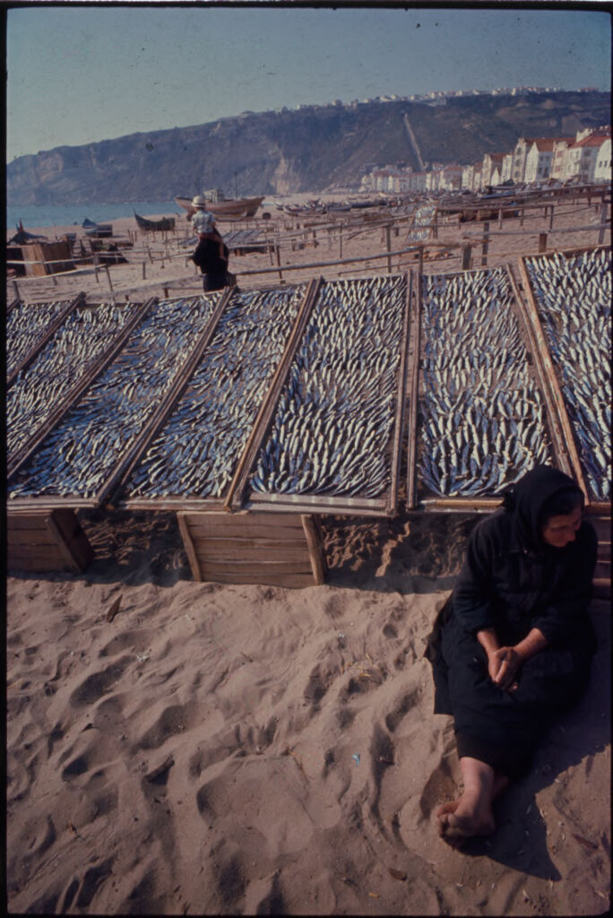 Untitled (Woman Wrapped In Shawl Sitting On Beach In Front Of Troughs Holding Fish, Nazaré, Portugal)