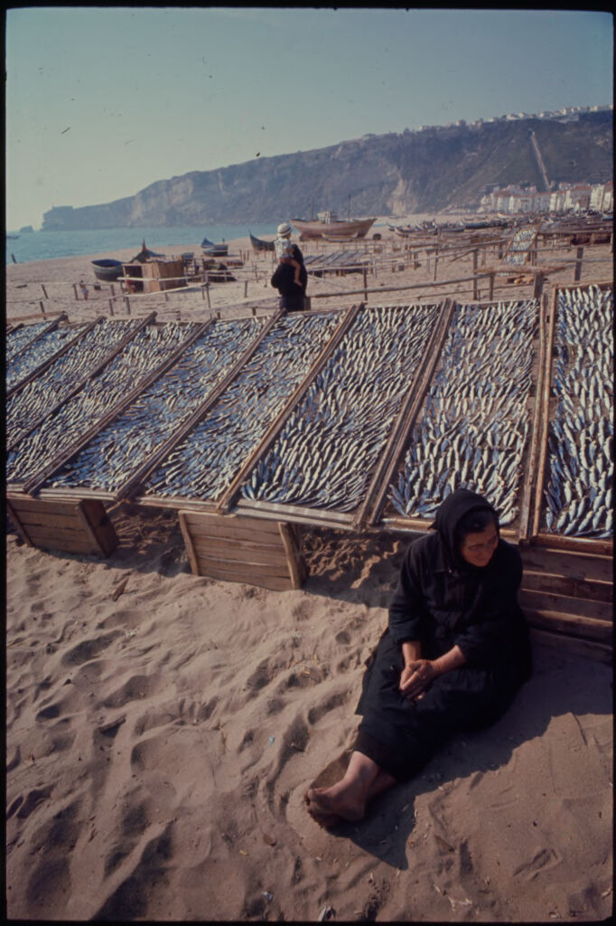 Untitled (Woman Wrapped In Shawl Sitting On Beach In Front Of Troughs Holding Fish, Nazaré, Portugal)