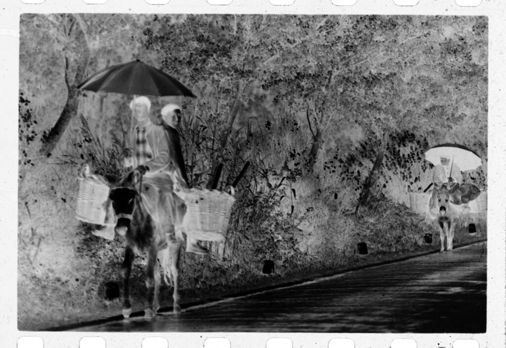 Untitled (Men On Donkeys Carrying Umbrellas On Side Of Road)