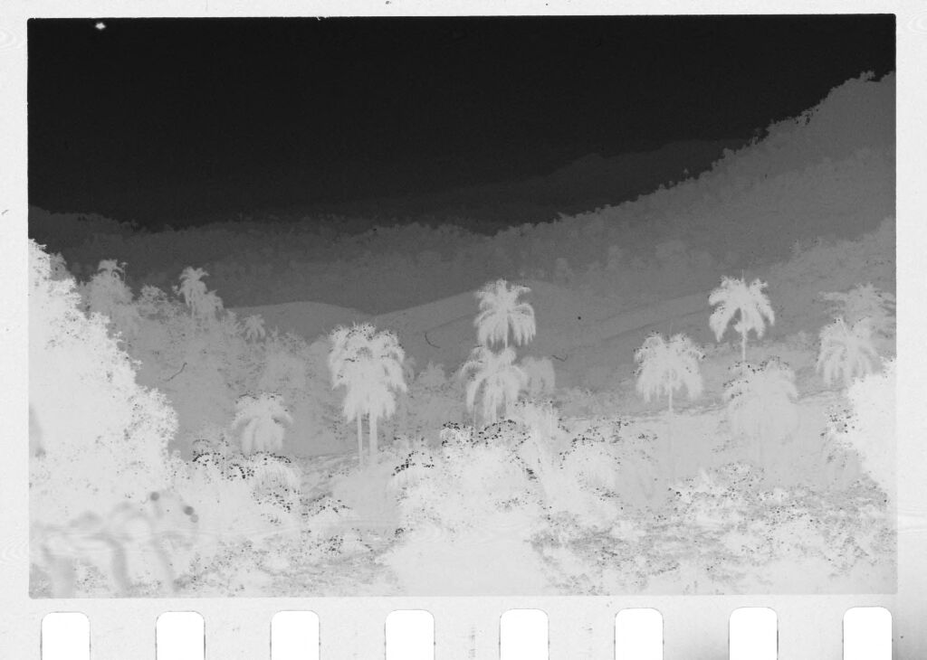 Untitled (Hills With Palm Trees, Vietnam(?))