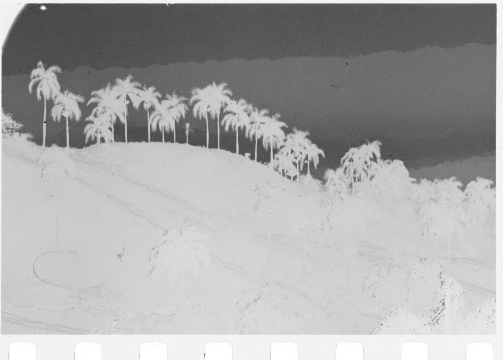 Untitled (View Of Hills With Palm Trees, Vietnam(?))