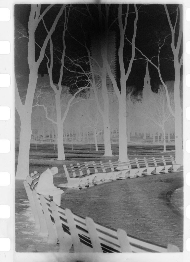 Untitled (Curved Path Lined With Benches On Left Side And Single Figure)