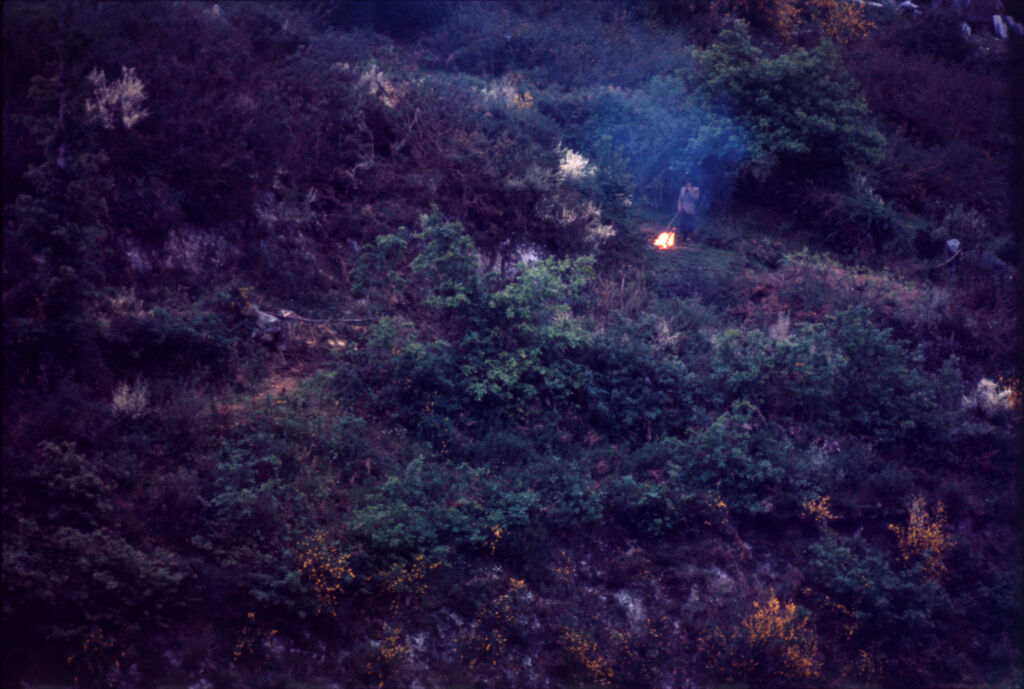 Untitled (View From Above Of Man Wearing Hat Standing In Grassy Clearing Next To Fire)