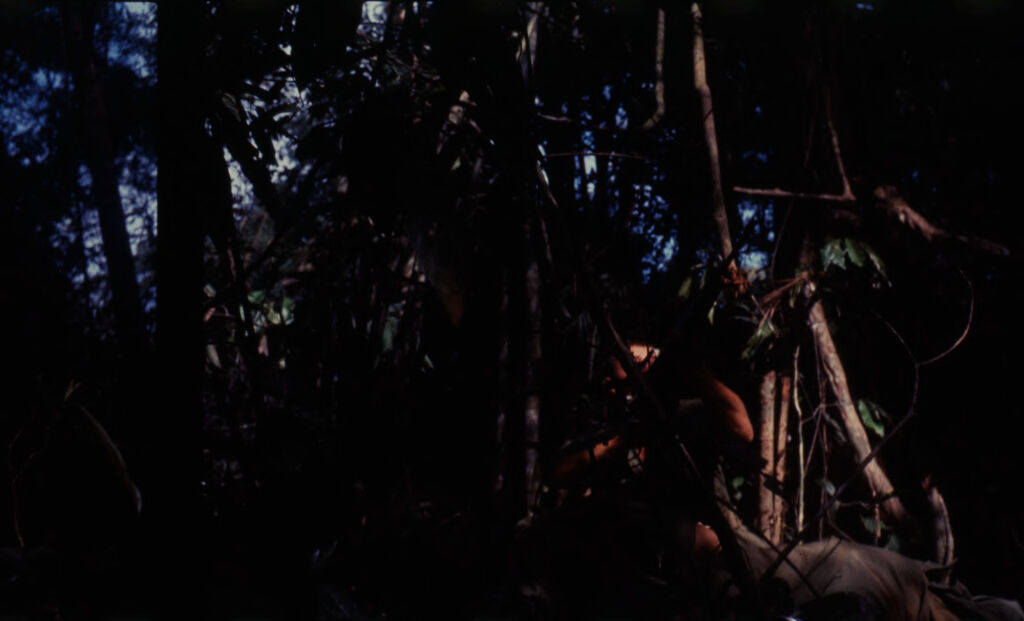 Untitled (Camouflaged Soldier Aiming Gun Into Trees During Fighting In Central Highlands Near Dak To, Vietnam)