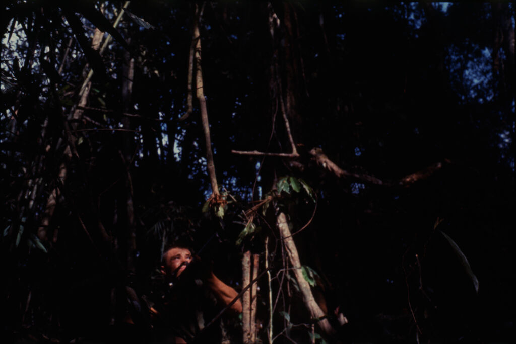 Untitled (Camouflaged Soldier Aiming Gun Into Trees During Fighting In Central Highlands Near Dak To, Vietnam)
