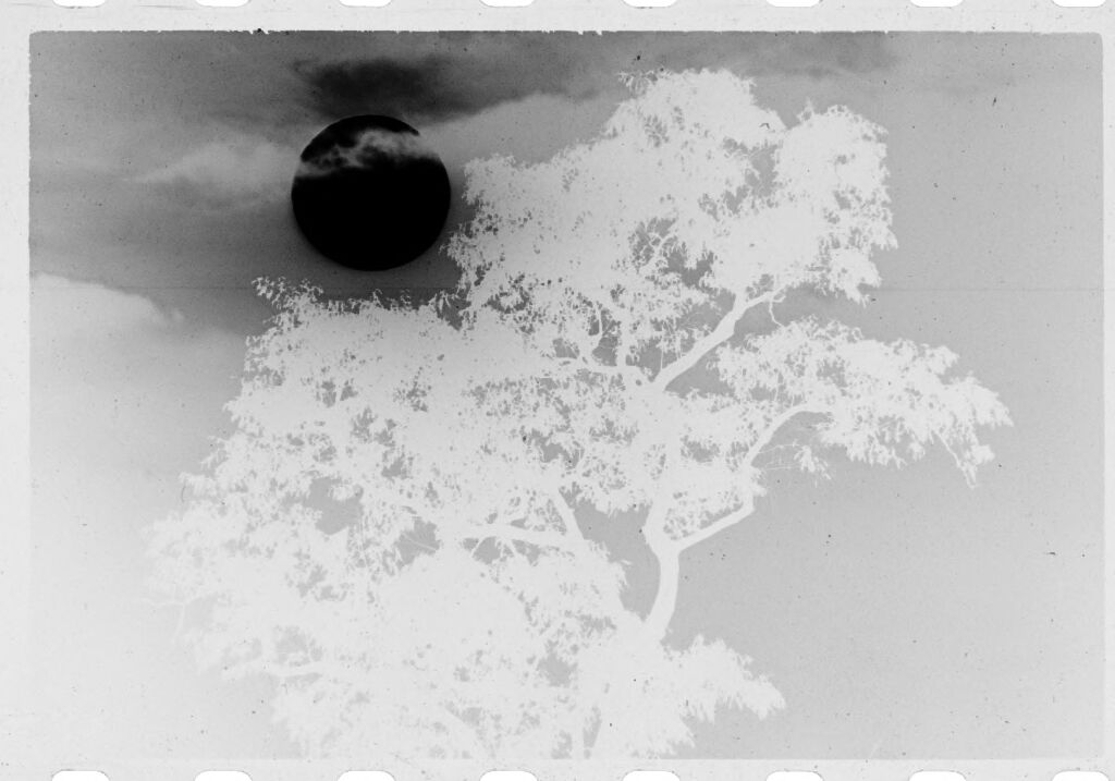 Untitled (Sun Surrounded By Clouds Above Treetop, Vietnam)