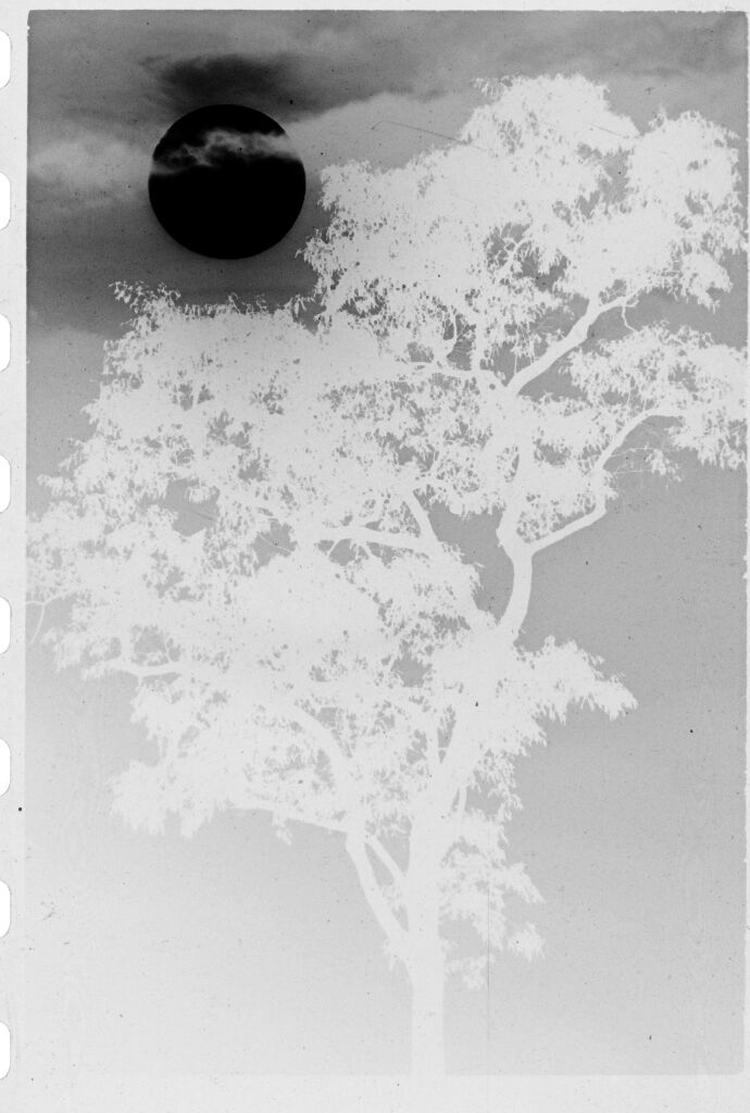 Untitled (Sun Surrounded By Clouds Above Treetop, Vietnam)