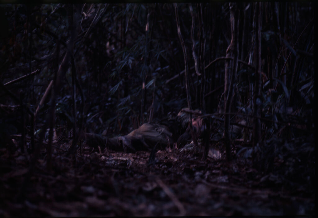 Untitled (Camouflaged Soldiers During Fighting In Central Highlands Near Dak To, Vietnam)