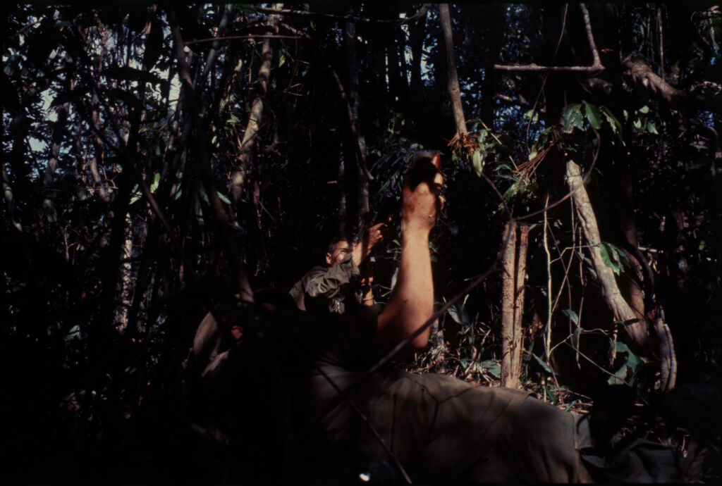 Untitled (Soldiers In Jungle Firing Into Trees During Fighting In Central Highlands Near Dak To, Vietnam)