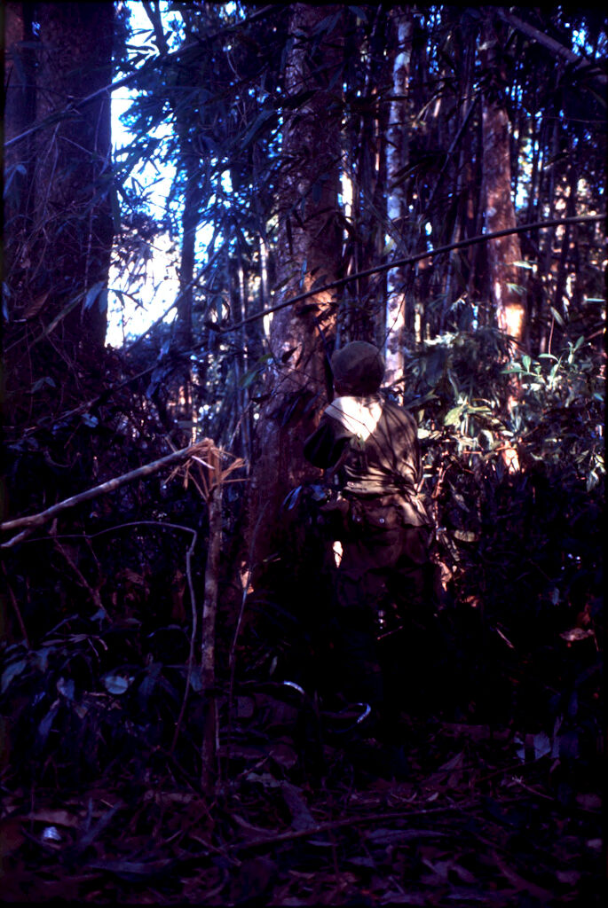 Untitled (Soldier In Jungle Of Central Highlands Near Dak To, Vietnam)