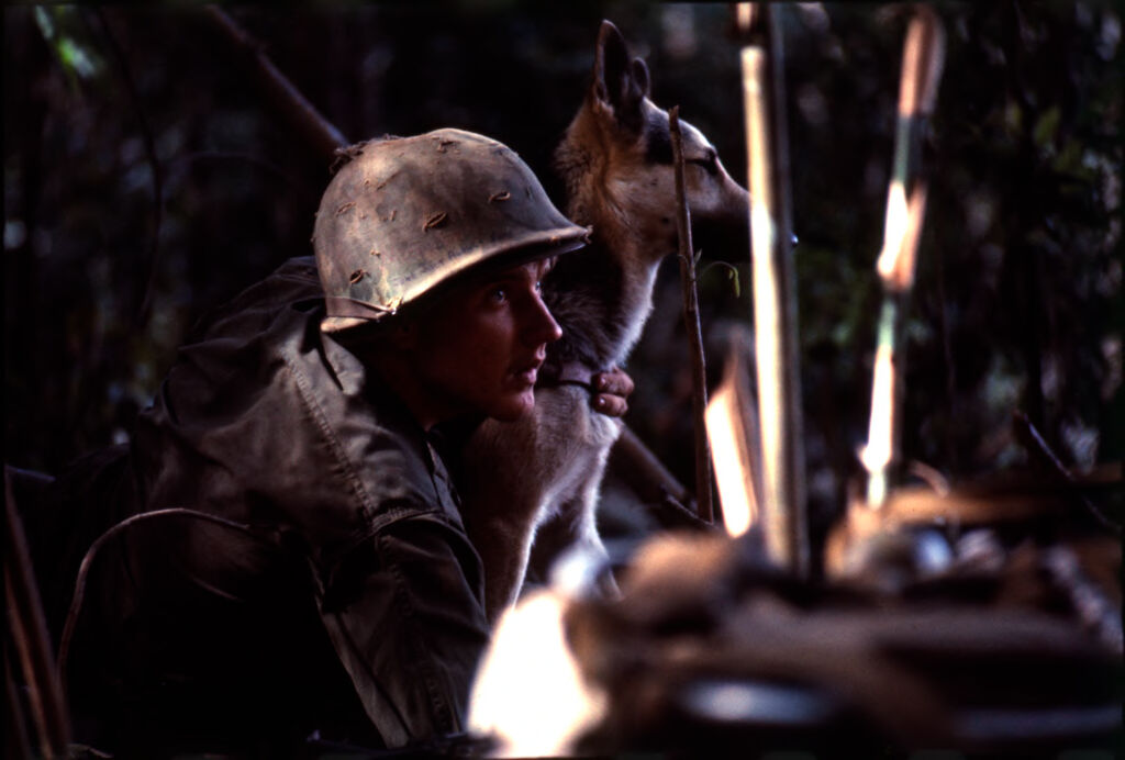 Untitled (Soldier And Dog In Jungle Of Central Highlands Near Dak To, Vietnam)
