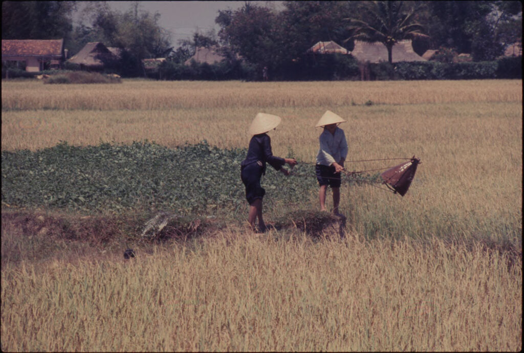 Untitled (Two Vietnamese Women In Rice Paddy, Vietnam)