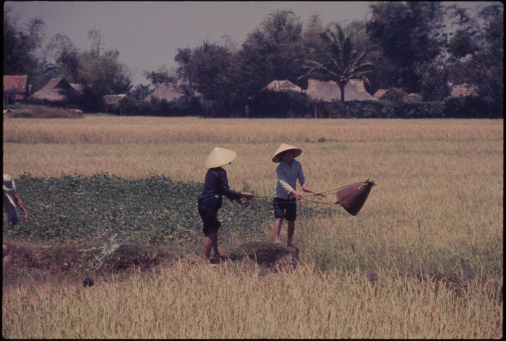 Untitled (Two Vietnamese Women In Rice Paddy, Vietnam)