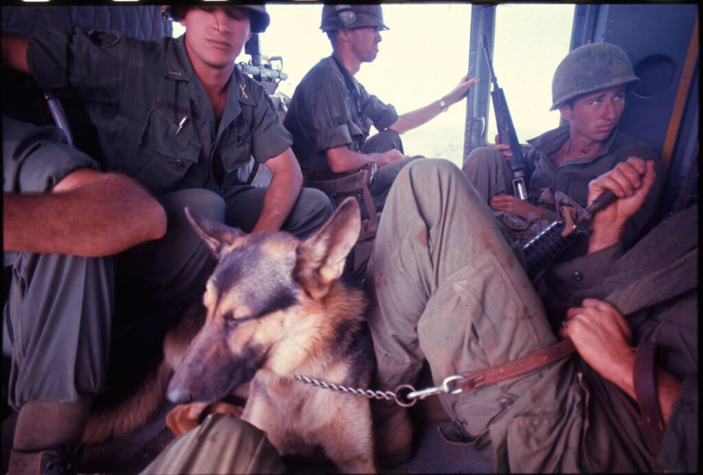 Untitled (Soldiers And Dog Inside Helicopter Transport From Hill 882, Central Highlands Near Dak To, Vietnam)