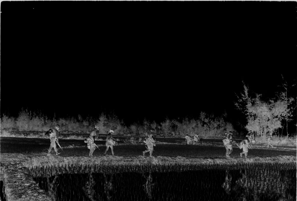Untitled (Soldiers Walking Through Rice Paddies, Vietnam)