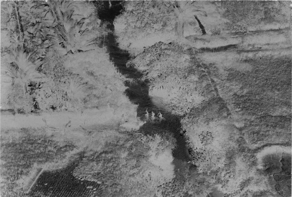 Untitled (Aerial View Of Jungle, Vietnam)