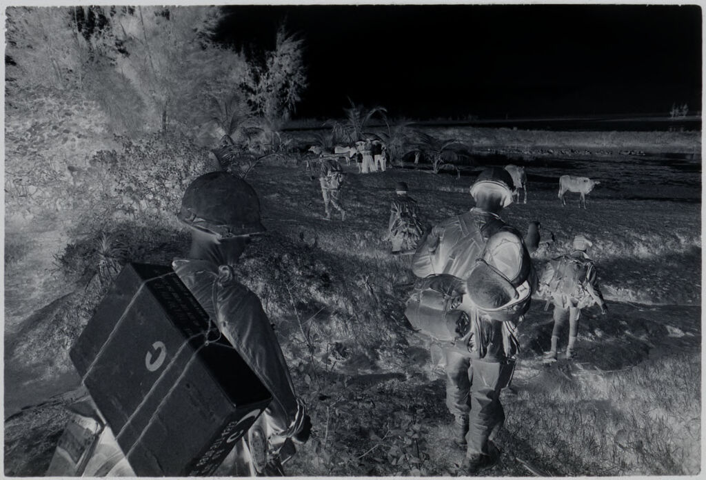 Untitled (Soldiers Carrying Gear And Supplies Through Field (Cows In Background), Vietnam)