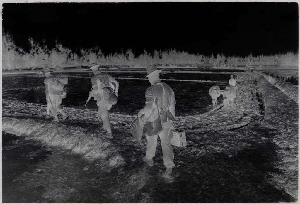 Untitled (Soldiers Walking Along Paths Between Rice Paddies, Vietnam)