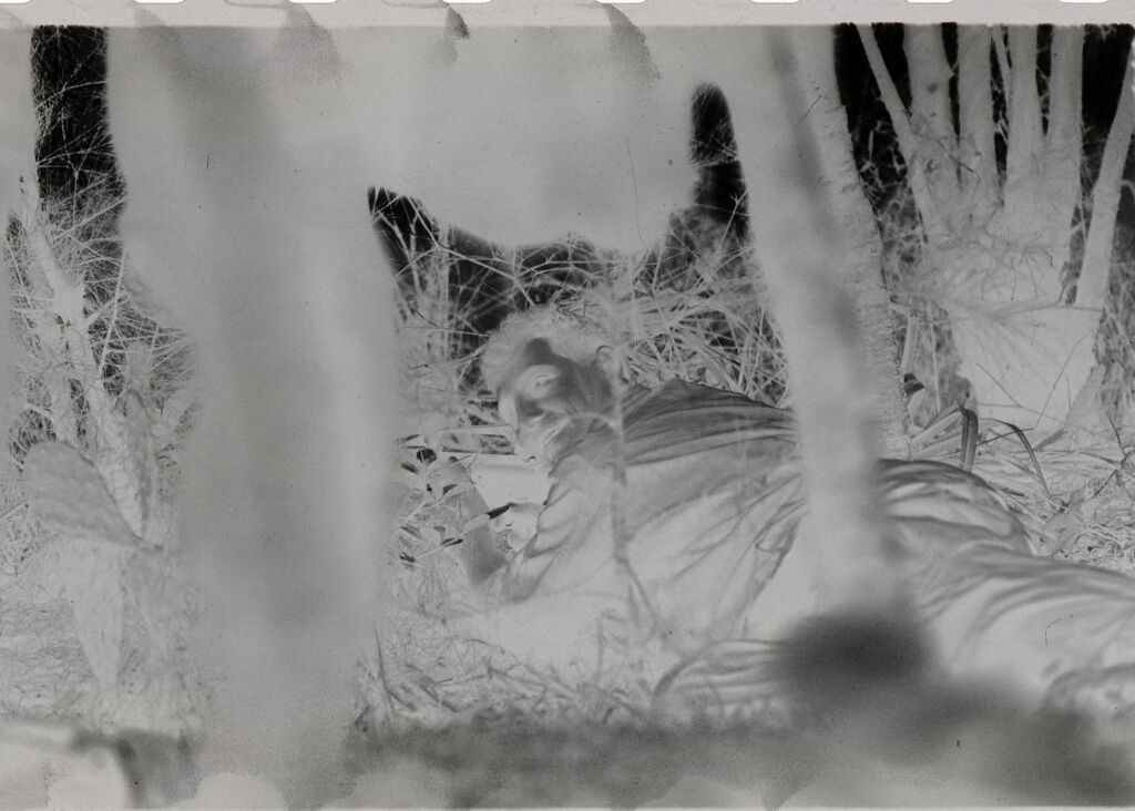 Untitled (Soldier Lying On Stomach In Brush, Vietnam)